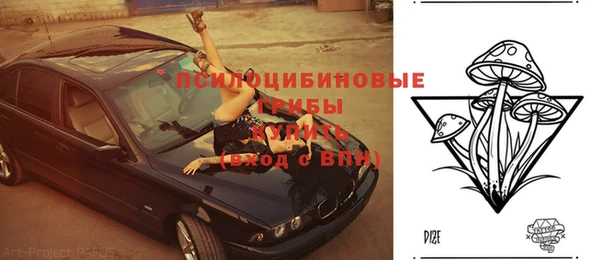 спайс Алзамай