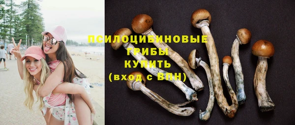 спайс Алзамай