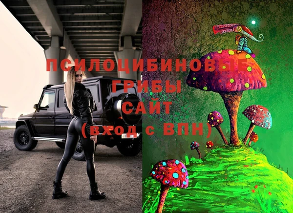 индика Алексеевка